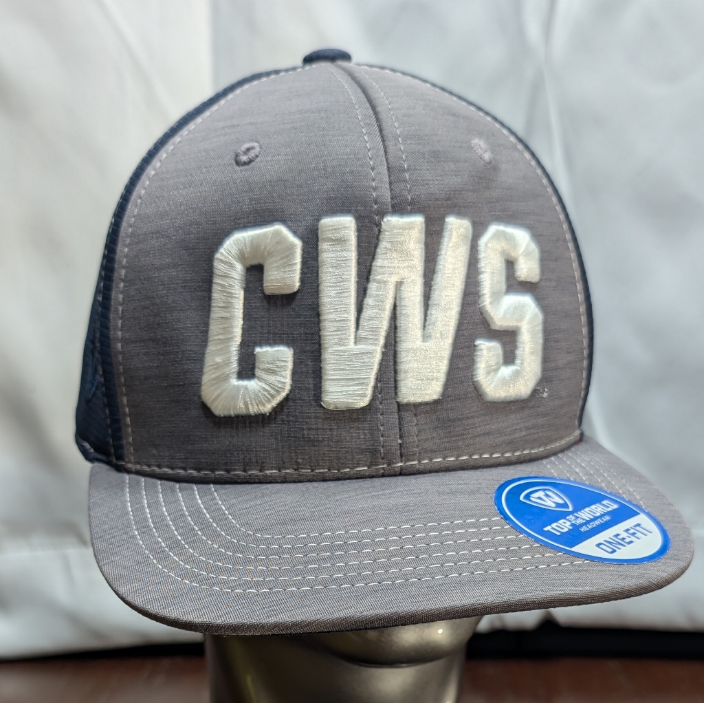 Top Of The World College World Series Cws Fitted Baseball Hat
